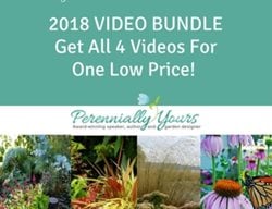 Kerry Ann Mendez 2018 Video Bundle
Garden Design
Calimesa, CA