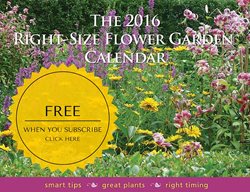 Kerry Ann Mendez, Garden Calendar
Garden Design
Calimesa, CA