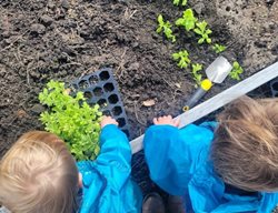 Kids Planting
Garden Design
Calimesa, CA
