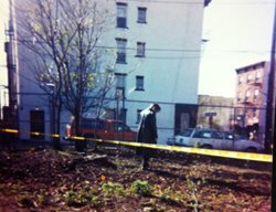 King Street Lots
Garden Design
Calimesa, CA