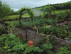 Kitchen Garden 
Garden Design
Calimesa, CA