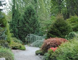 Kubota Garden
Garden Design
Calimesa, CA