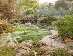 Labor Of Love
Garden Design
Calimesa, CA