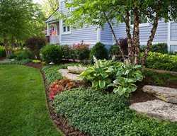 Landscape Bed, Planting Bed
Garden Design
Calimesa, CA