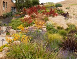 Landscape Solution
Garden Design
Calimesa, CA