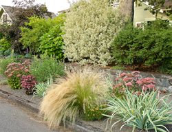 Layered Landscape Barrier, Shrubs And Perennial Plants
Garden Design
Calimesa, CA