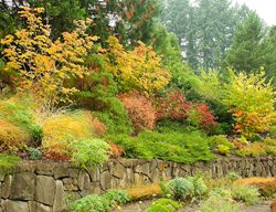 Layered Plantings, Fall Garden Border
Garden Design
Calimesa, CA