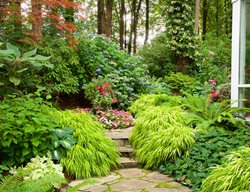 Layered Shade Garden, Shade Garden With Impatiens
Garden Design
Calimesa, CA