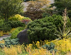 Le-jardinet
Seattle, WA