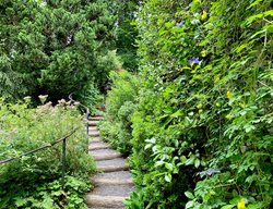 Leach Botanical Garden
Garden Design
Calimesa, CA