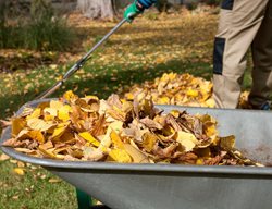 Leaf Cleanup 101
Garden Design
Calimesa, CA