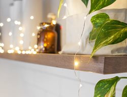 Led String Lights
Garden Design
Calimesa, CA