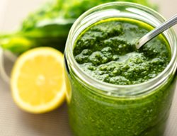 Lemony Basil Pesto
Proven Winners
Sycamore, IL