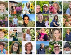 Lessons Learned Gardeners
Garden Design
Calimesa, CA