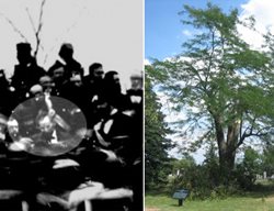 Lincoln
Garden Design
Calimesa, CA