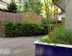  Living Wall, Vertical Garden
Julie Moir Messervy Design Studio
Saxtons River, VT