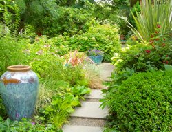 Lone Teal Pot
Linda Ernst (Homeowner)
Portland, OR