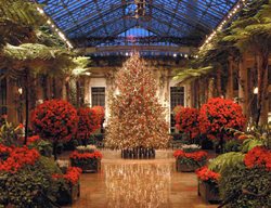 Longwood Gardens Holidays
Garden Design
Calimesa, CA