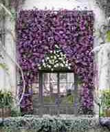 Longwood Orchids
Garden Design
Calimesa, CA