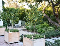 Los Angeles Garden, Garden Conservancy, Open Day
Garden Design
Calimesa, CA