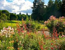 Loughrey Yard
Garden Design
Calimesa, CA