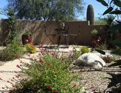 Low-Maintenance Courtyard, Courtyard Garden
Garden Design
Calimesa, CA