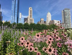 Lurie Garden, Chicago
Garden Design
Calimesa, CA