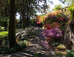 Lush Franciscan Monastery Gardens
Garden Design
Calimesa, CA