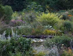 Lush Plantings Of Ornamental Grasses And Perennials Surround The Pond In Summer
Chanticleer
Wayne, PA