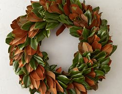 Magnolia Wreath, Fall Wreath
Terrain

