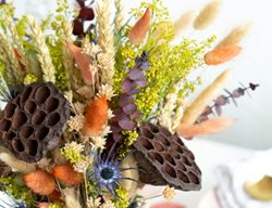 Make A Fall Arrangement
Garden Design
Calimesa, CA