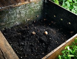 Make Your Own Compost
Garden Design
Calimesa, CA