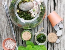 Making A Terrarium, Terrarium Tools
Shutterstock.com
New York, NY