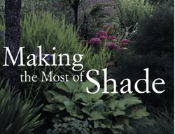 Making The Most Of Shade
Garden Design
Calimesa, CA