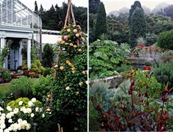 Marco Polo Stufano Conservatory
Garden Crossings
Zeeland, MI