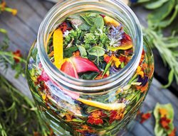 Marigold Bitters, Amaro
Ten Speed Press
Berkeley, CA