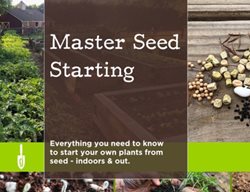 Master Seed Starting Course
Garden Design
Calimesa, CA