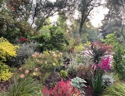 Maximalist Garden With Succulents, Perennials, And Shrubs
Garden Design
Calimesa, CA