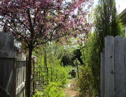 May Garden
Monarch Gardens
Lincoln, NE