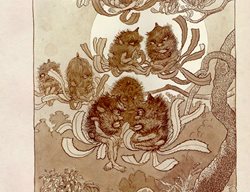 Maygibbs Banksia Men
Garden Design
Calimesa, CA