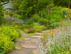 Meadow Garden Pathway
Garden Design
Calimesa, CA