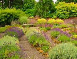 Mediterranean Garden With Purple And Yellow Plants
Garden Design
Calimesa, CA