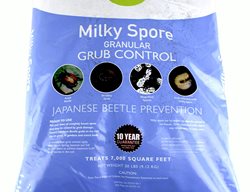 Milky Spore
Garden Design
Calimesa, CA