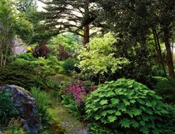 Miller Botanical Garden Seattle
Garden Design
Calimesa, CA