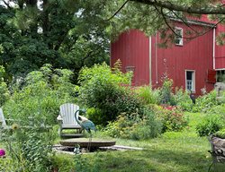 Millstone Fountain, Seating Area
Garden Design
Calimesa, CA