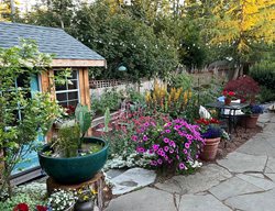 Miniature Water Garden
Garden Design
Calimesa, CA