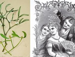 Mistletoe-Cover
Garden Design
Calimesa, CA