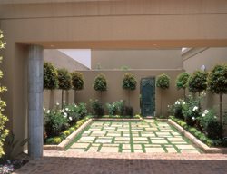 Modern Courtyard, Manicured Trees
Garden Design
Calimesa, CA