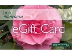 Monrovia, Gift Card
Garden Design
Calimesa, CA
