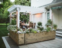 Moon Garden Planters, White Plants
Proven Winners
Sycamore, IL